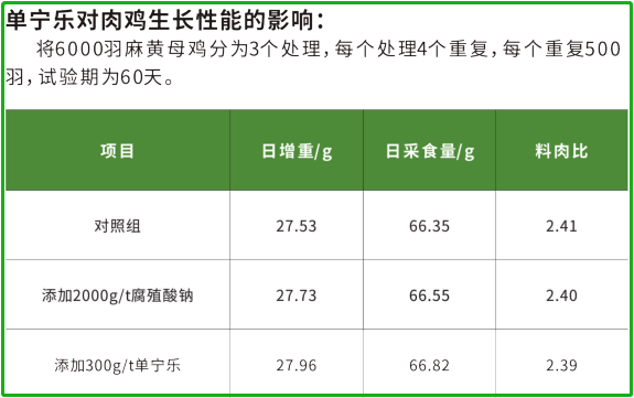 肉鸡生长